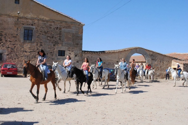 A lomos de tranquilos animales